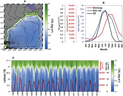 Variations of phytoplankton chlorophyll in the Bay of Bengal: Impact of climate changes and nutrients from different sources